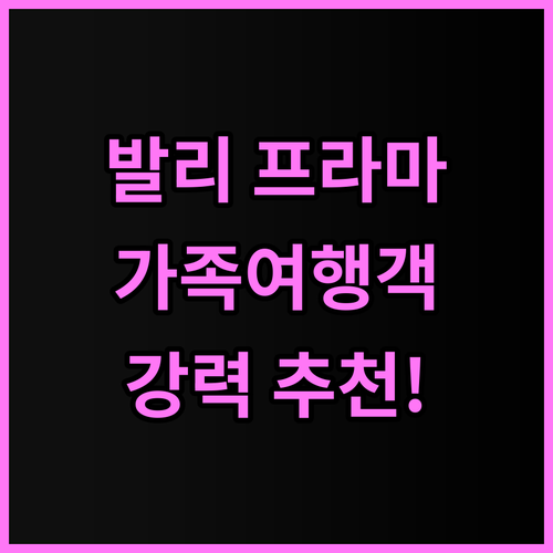 프라마 사누르 비치 발리 추천 후기 ..