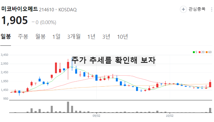 원숭이두창 엠폭스 관련주 대장주 테마주 TOP7