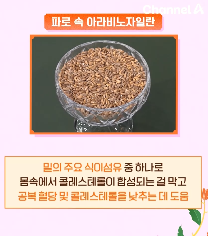 몸신의 탄생 파로