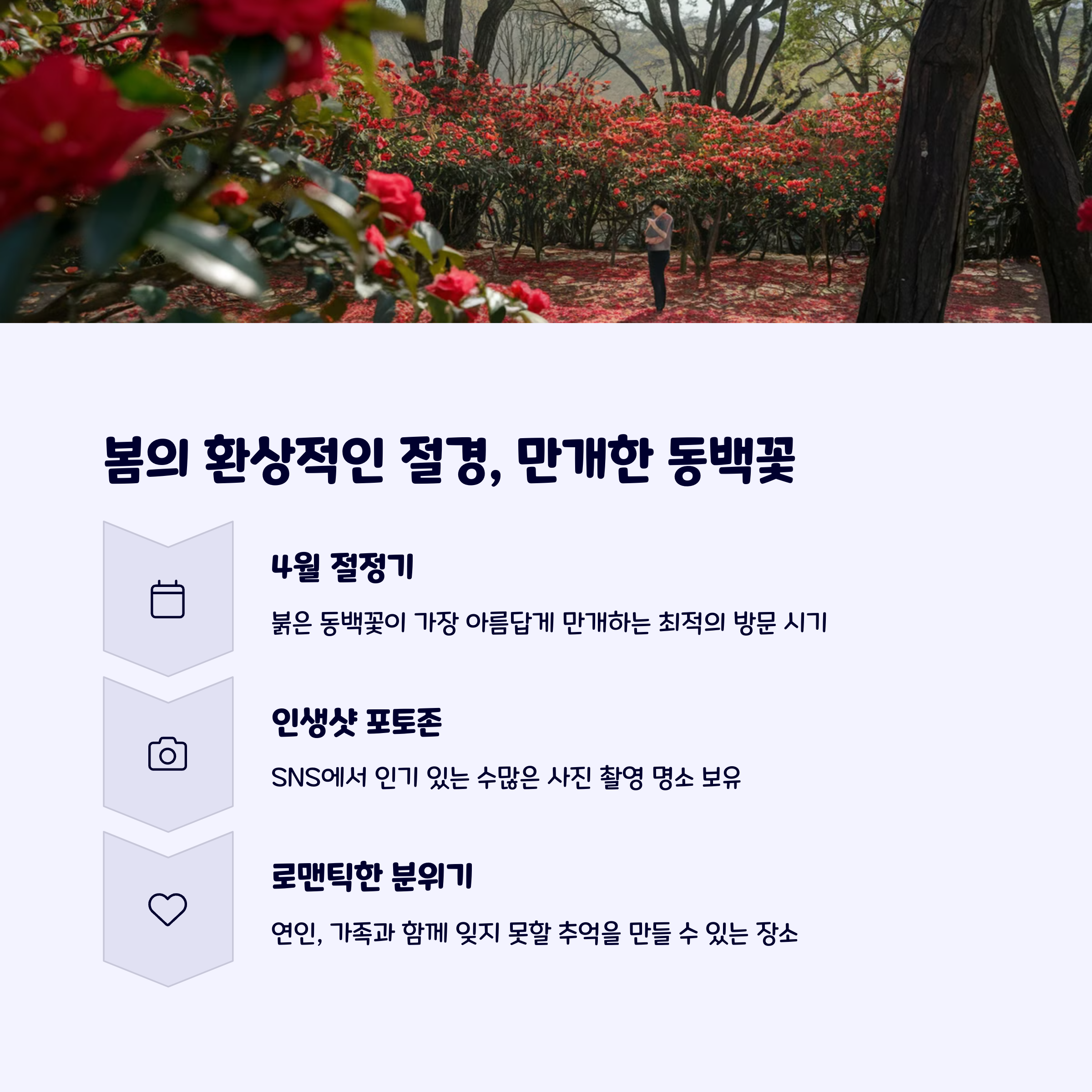동백나들이