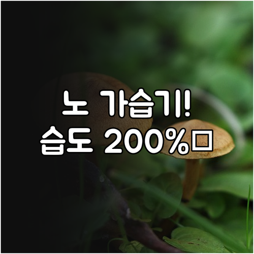 미세먼지 심한 날 가습기 없이 실내 ..