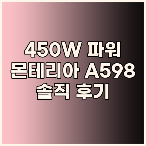 450W 파워 전기자전거 추천 몬테리..