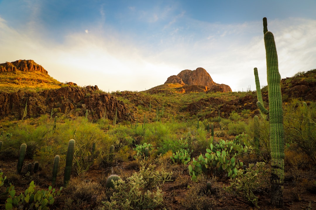 Tucson