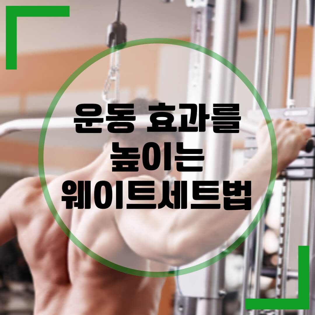웨이트 세트법
