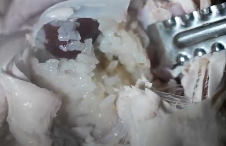 들깨 삼계탕 맛집 생생정보통 소개 KBS 210628 방송32