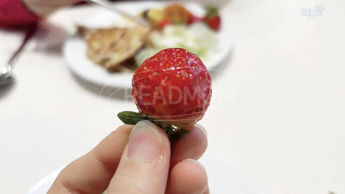 애슐리딸기축제-애슐리퀸즈-은평롯데몰-딸기-손가락-접시