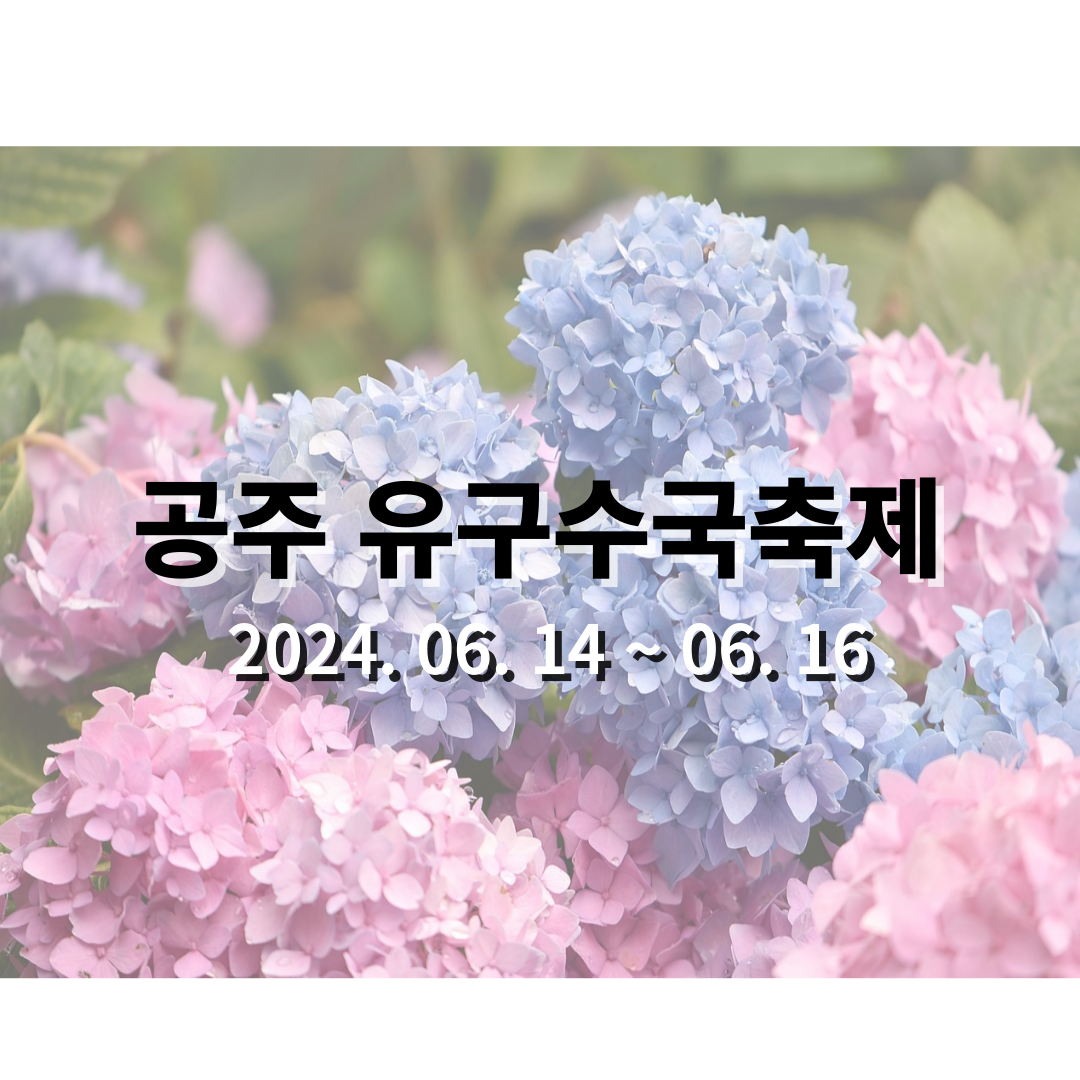 충남 공주 수국축제 유구색동수국정원꽃축제