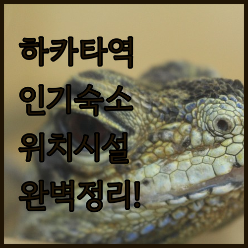 후쿠오카 자유여행 하카타역 주변 인기..