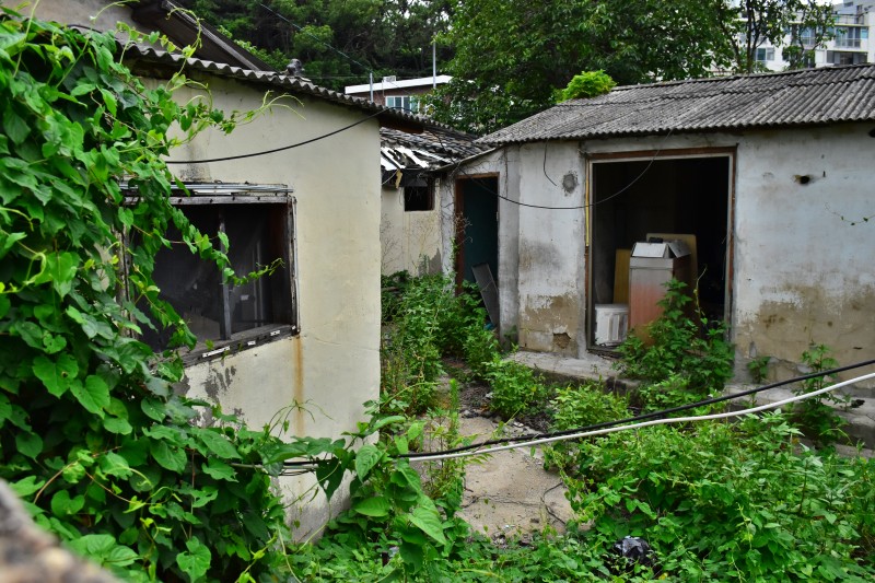 해운대 반여3동 삼어마을