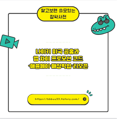 나이키 미국 공홈과 앱 차이 프로모션 코드&middot;애플페이&middot;매장픽업&middot;리오픈