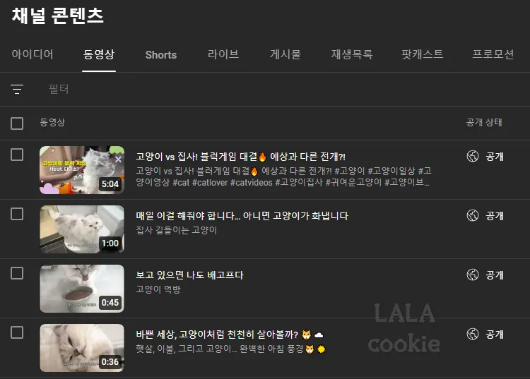 유튜브-롱폼-영상-리스트