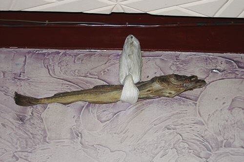 2025 정월대보름 행사 추천 서울 TOP 5