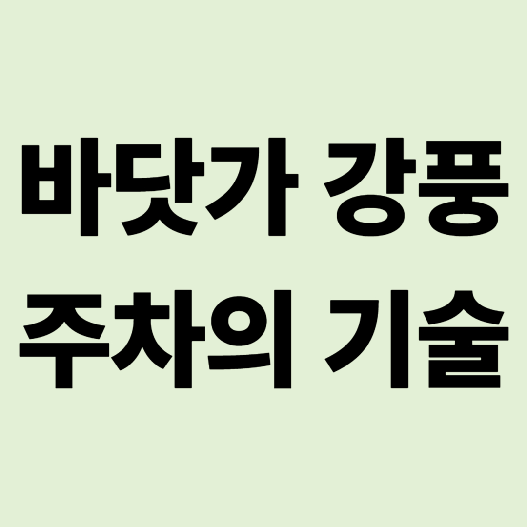 "밤새 요동치는 캠핑카?" 바닷가 똥바람 이겨내는 주차의 기술