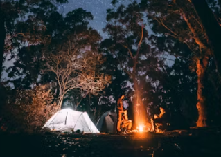 캠핑장 창업에 대하여 알아보기