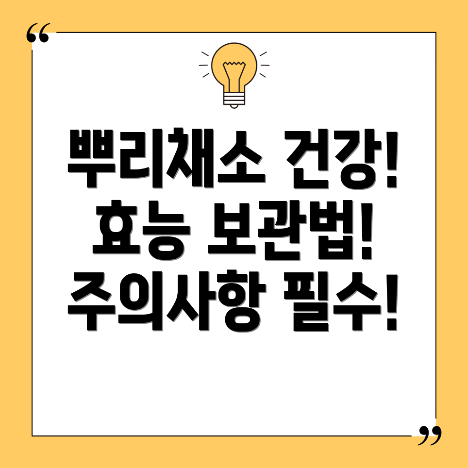 뿌리채소