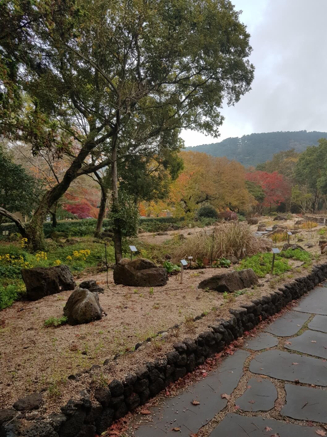 딤채 김치냉장고 불 깜빡이는 이유