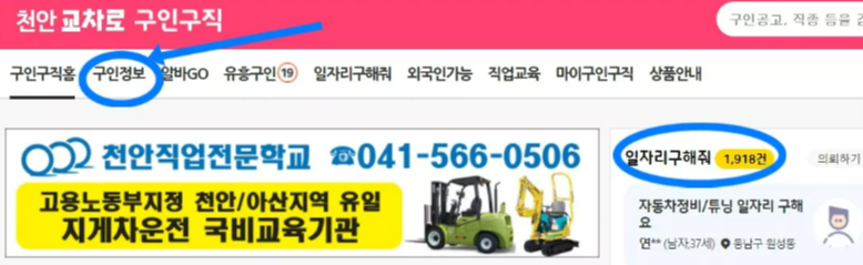 천안교차로 구인구직 화면