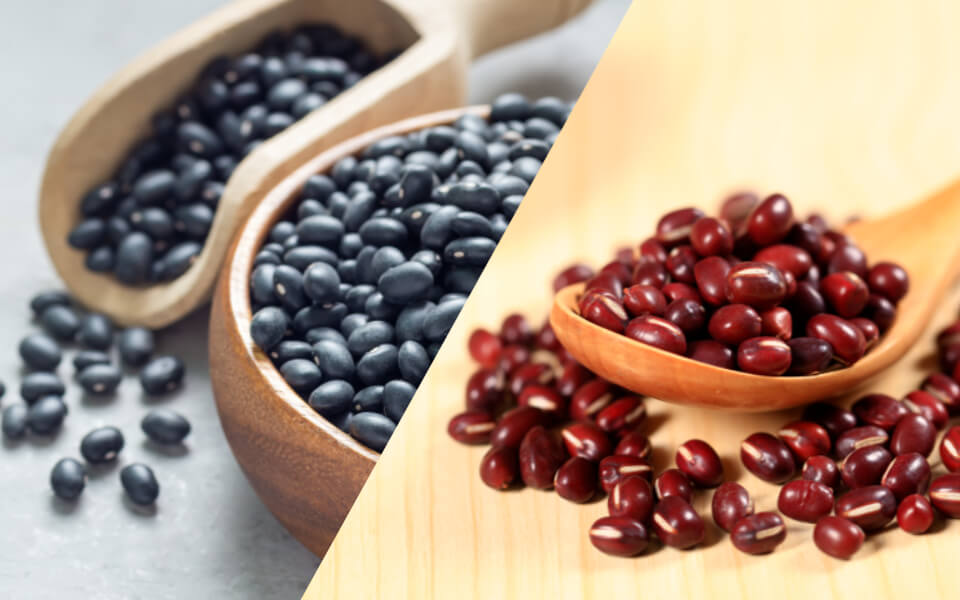왼쪽에는 검은콩 오른쪽에는 팥이 배치된 사진