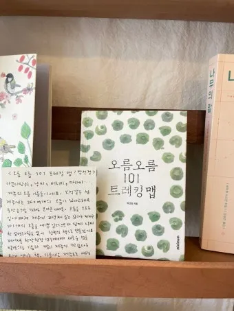 제주 오름 트레킹 코스 초보 난이도 뷰맛집 주차 정보 정리_19