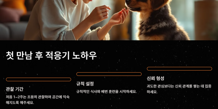 강아지 키우기: 초보견주를 위한 입분양부터 준비물 주의사항