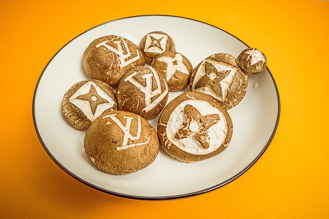 루이 비통 (Louis Vuitton): 여행에서 시작된 패션 제국의 신화