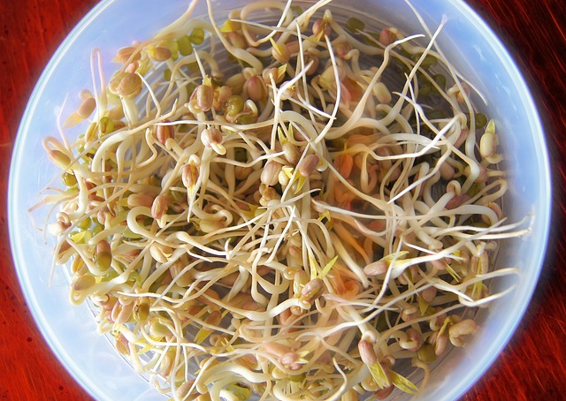 숙취에 좋은재료 1 콩나물