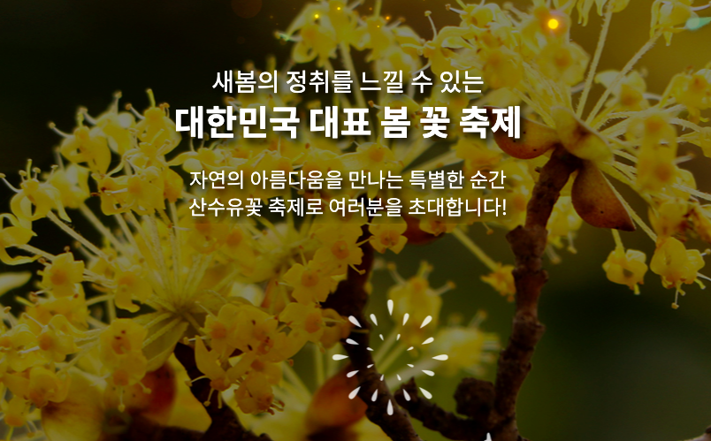 구례 산수유 봄꽃 축제