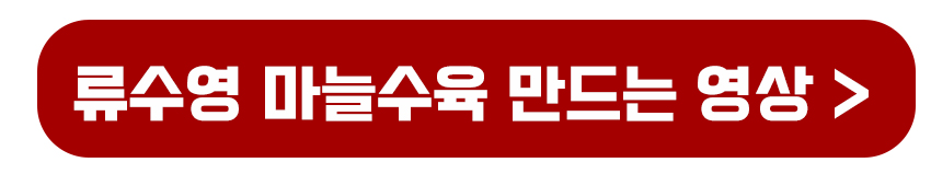 류수영 마늘수육 영상보기