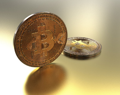 비트코인 갤러리