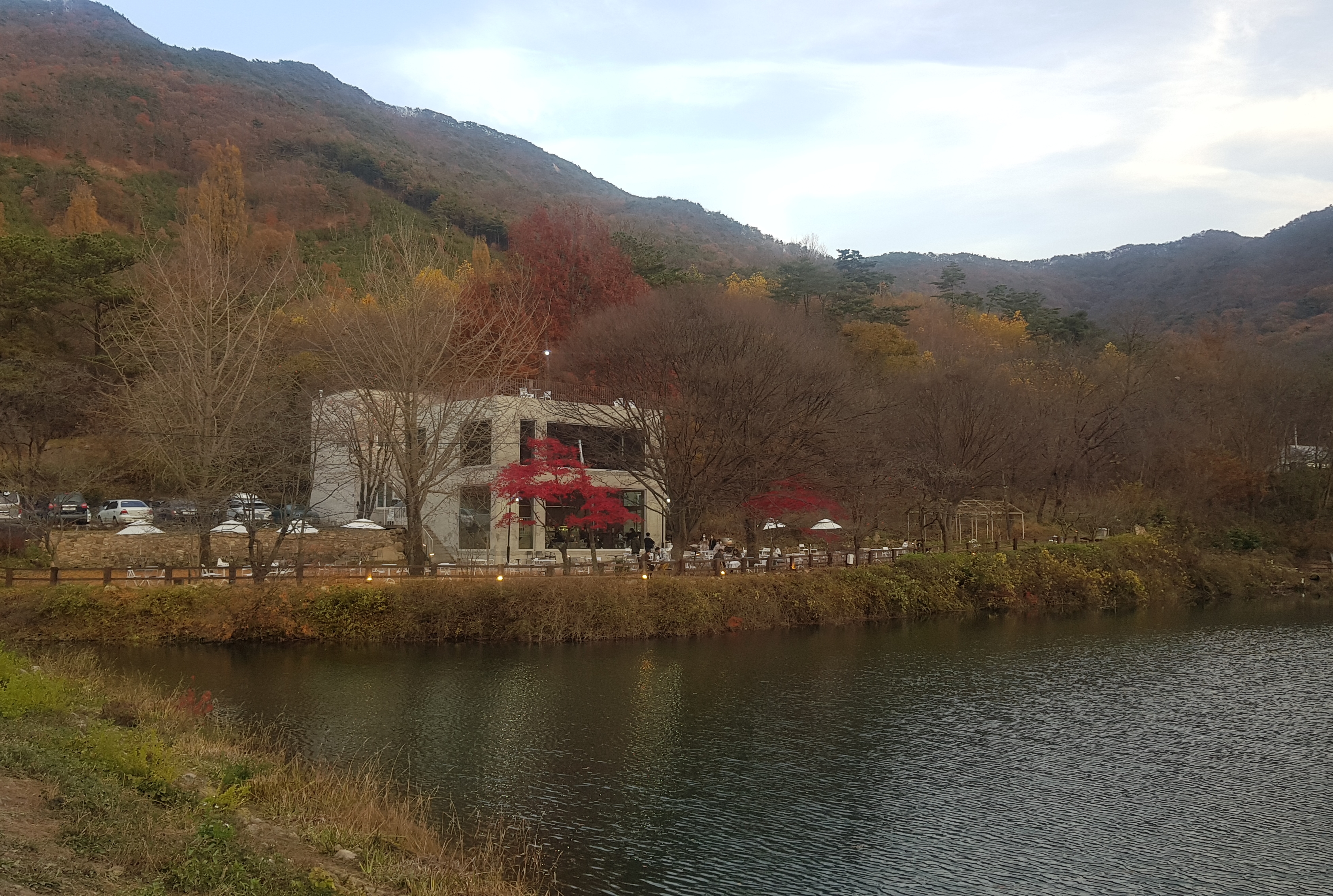 멀리서 바라본 엔학고레