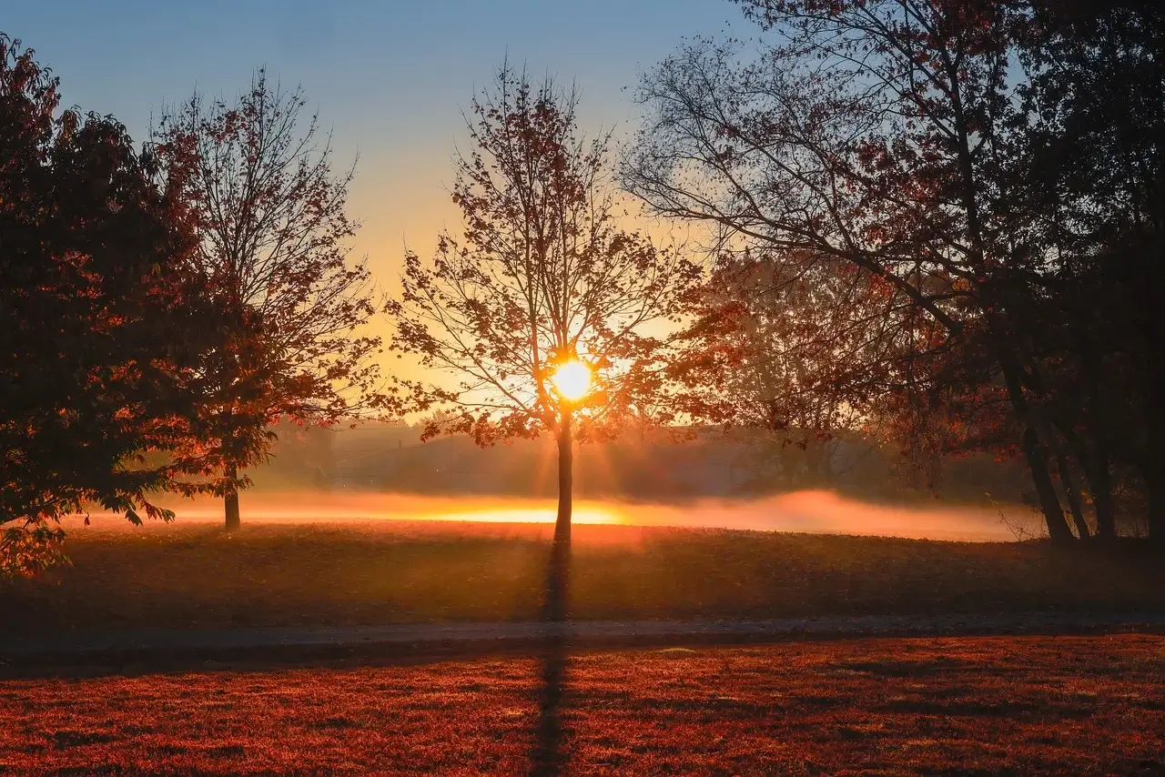 반려동물의 혈전 색전증(Thromboembolism) – 예방 및 최신 치료법