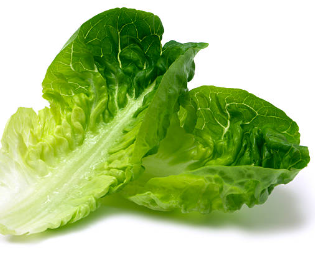 탈모에 좋은 상추