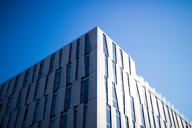 청년과 기업이 함께 활용할 수 있는 추가 지원 제도 소개 (2025년 최신판)