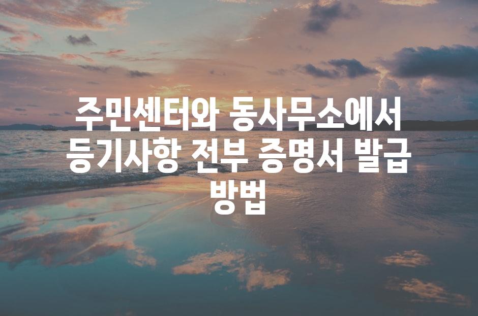 샘플 (81)