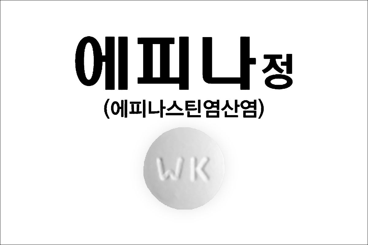 에피나정(Epina Tab.)