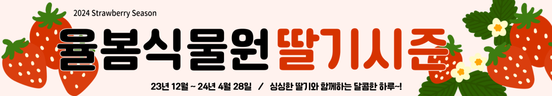 3월축제