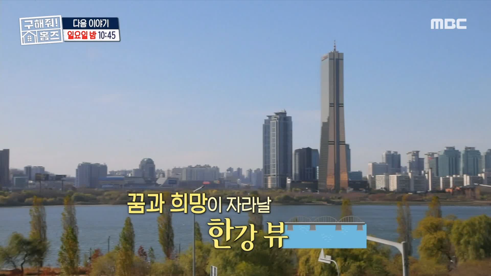 구해줘홈즈 다둥이 7인 가족 전세 최대 7억 5천 중구 아빠 저기가 하우스 성수동 1층집 다둥이들 광진구 초품단 용산구 이촌동 한강뷰 매물 리모델링 인테리어 최종 선택 소개
