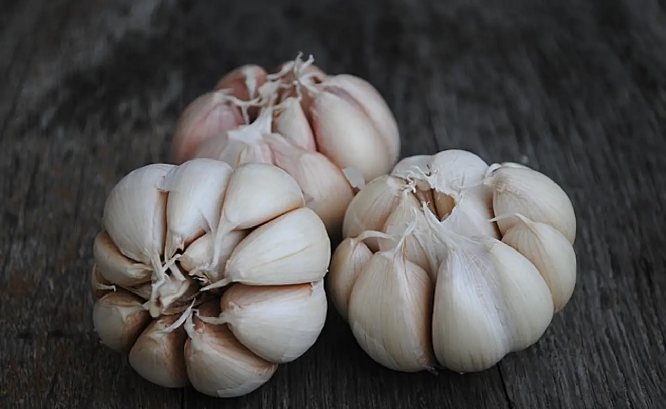 마늘장아찌 담그는법