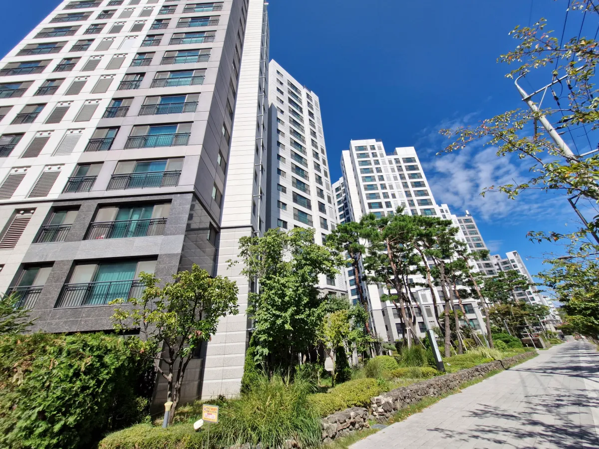 일직선으로-길과-나무-아파트들이-이어져있는-모습