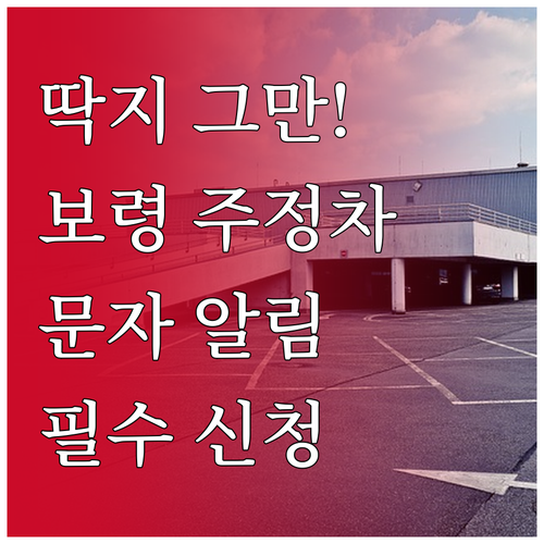 보령시 주정차 단속 구역 확인 및 문..