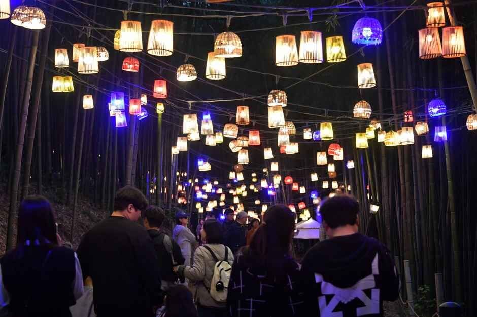 담양 대나무축제