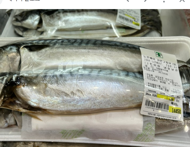 노르웨이-자반고등어