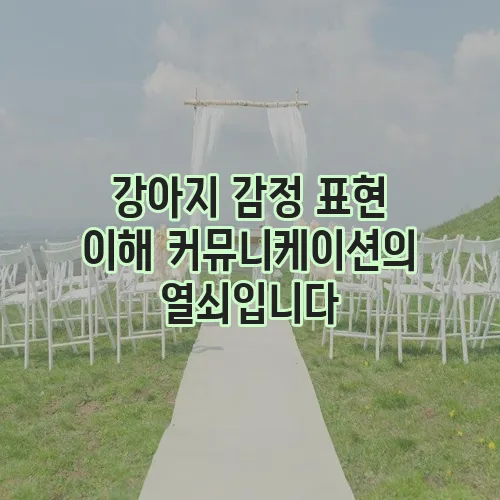 강아지 감정 표현 이해 커뮤니케이션의 열쇠입니다