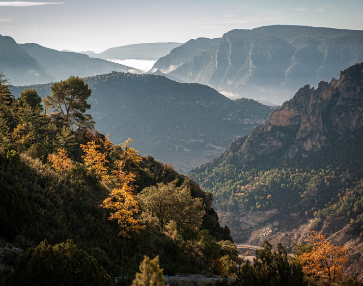 발왕산 자연경관 사진