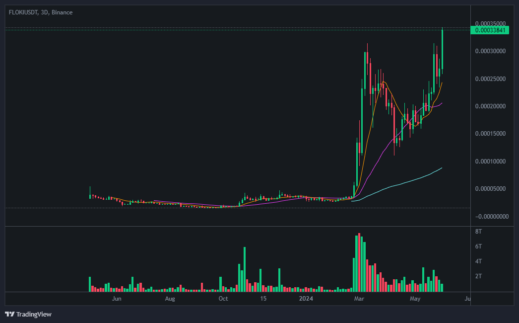 플로키(FLOKI) 코인 차트 분석