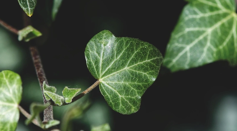 공장 증축 인허가 절차와 시공업체