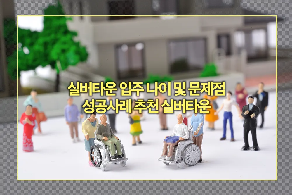 실버타운 입주 나이 문제점 성공사례 추천 실버타운