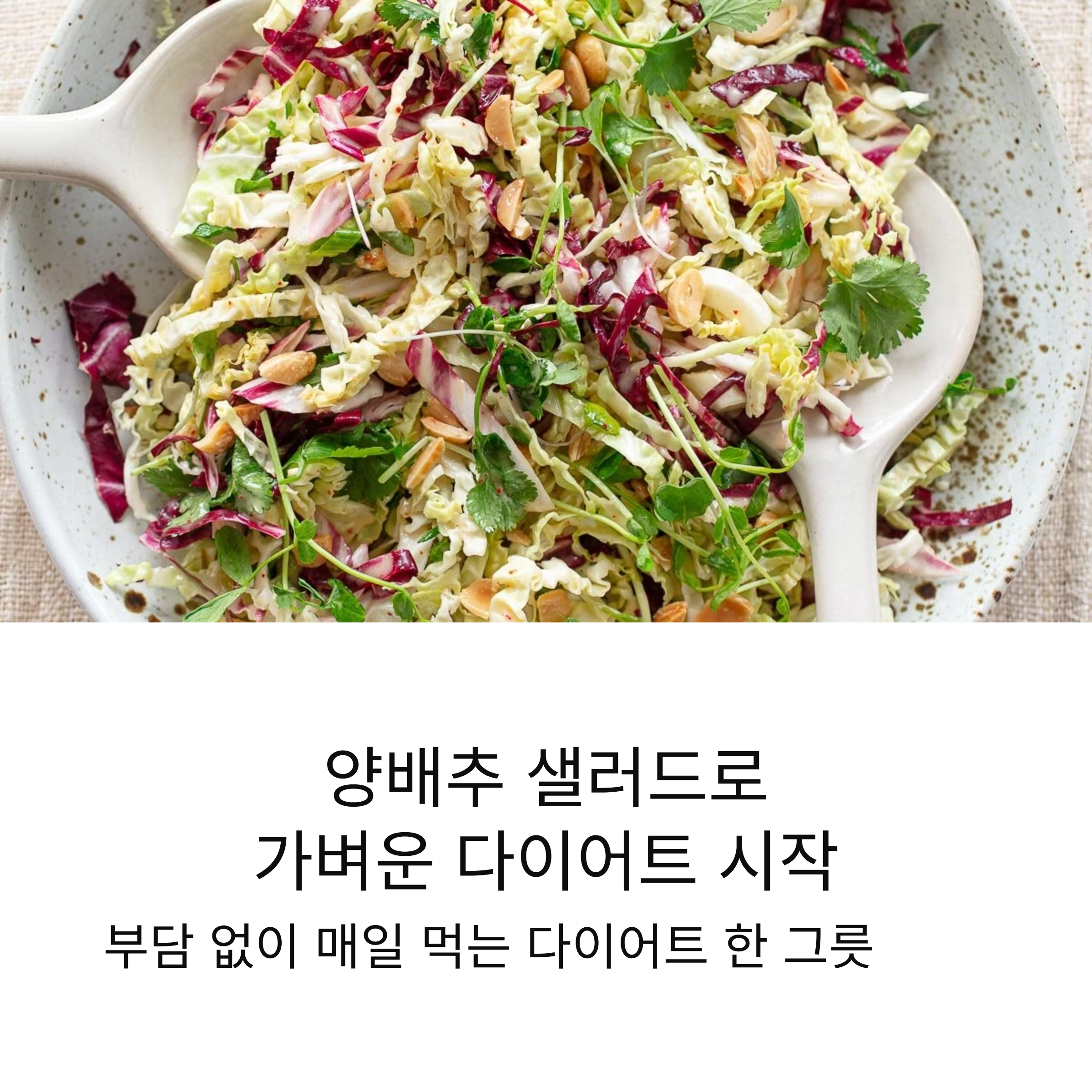 양배추 샐러드로 완성하는 가벼운 다이어트 식단 루틴