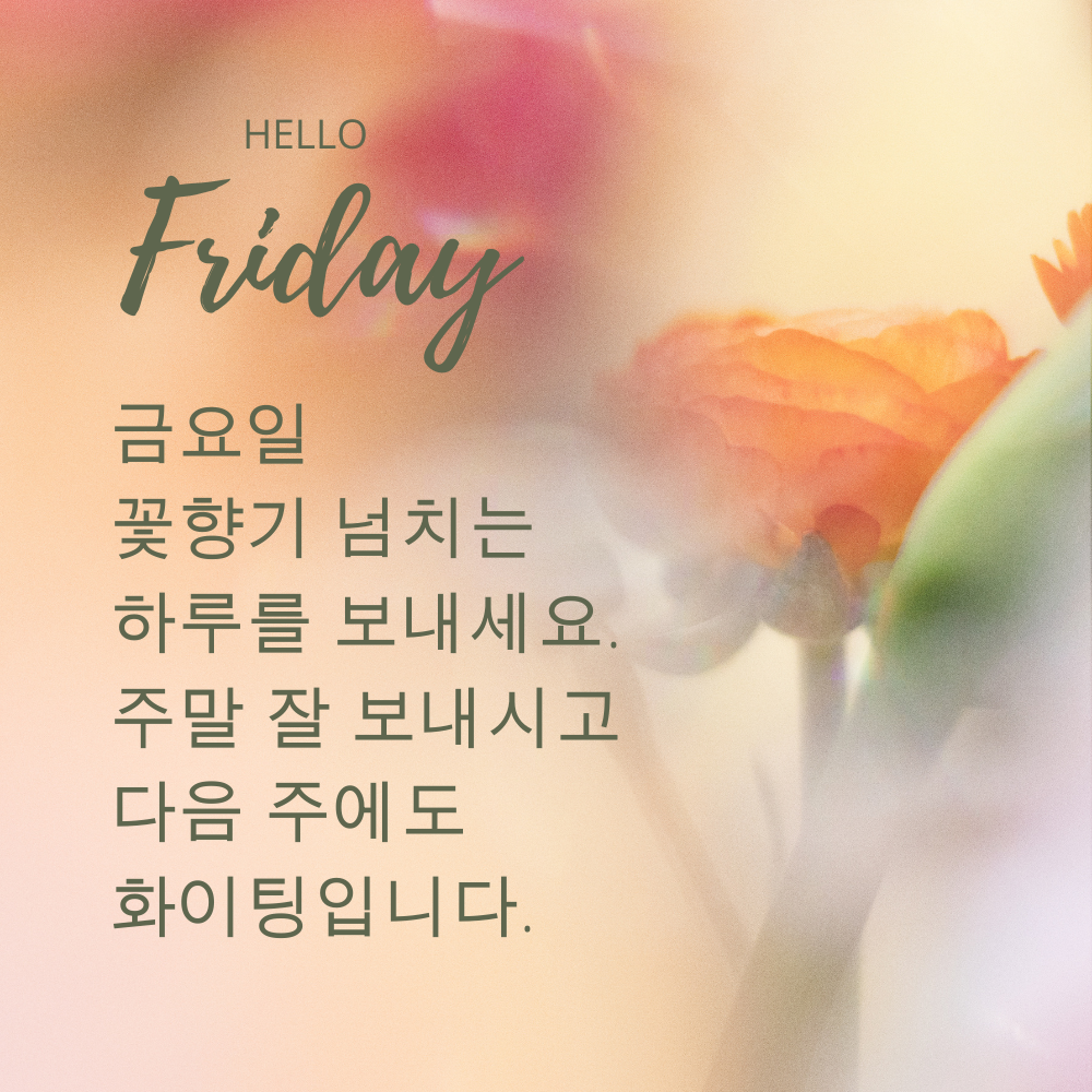 금요일 아침 인사말 문구 이미지 모음