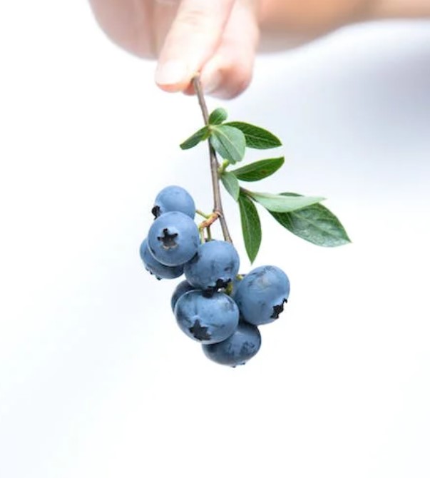 관절염에 좋은 음식